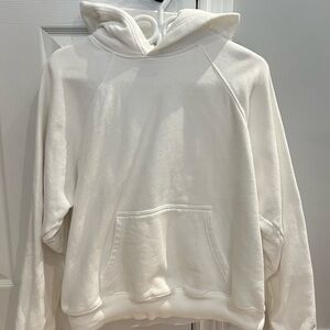 Aritzia TNA Mega Raglan Hoodie
